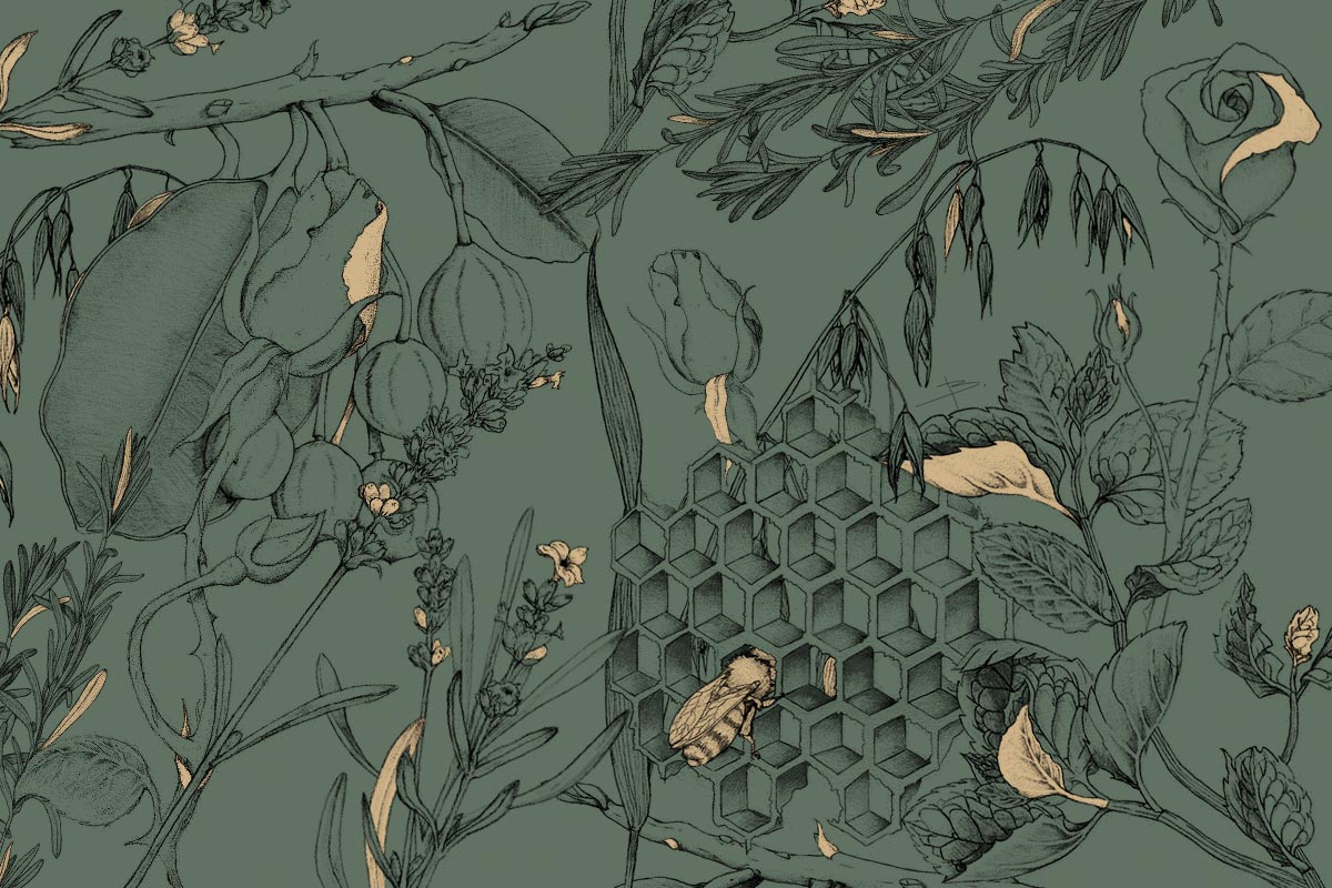 illustration motifs florales