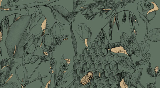 illustration motifs florales