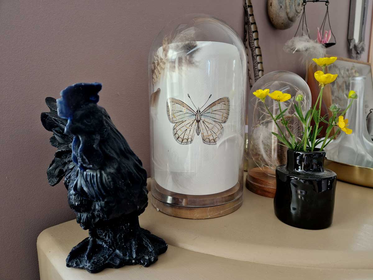 aquarelle d'un papillon sous cloche entouré de bougie et de fleurs