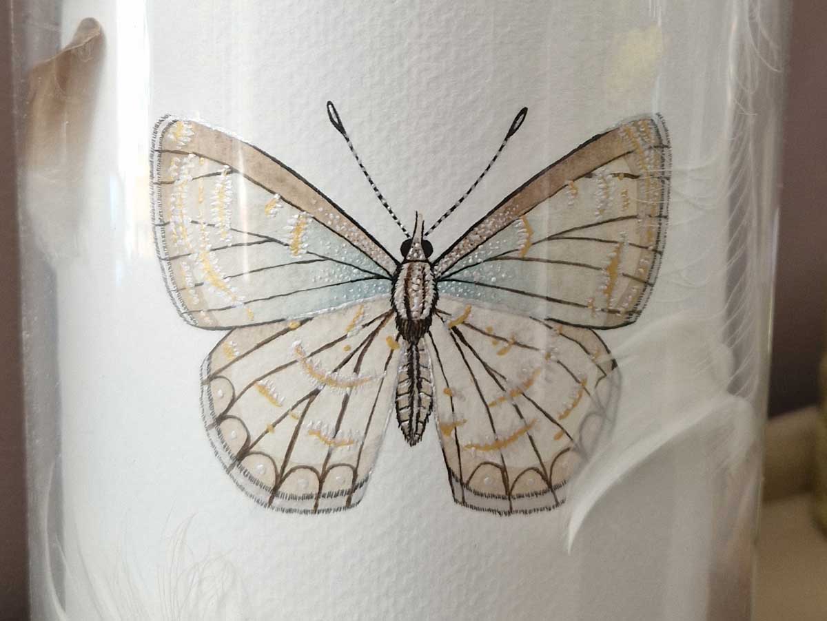 aquarelle papillon
